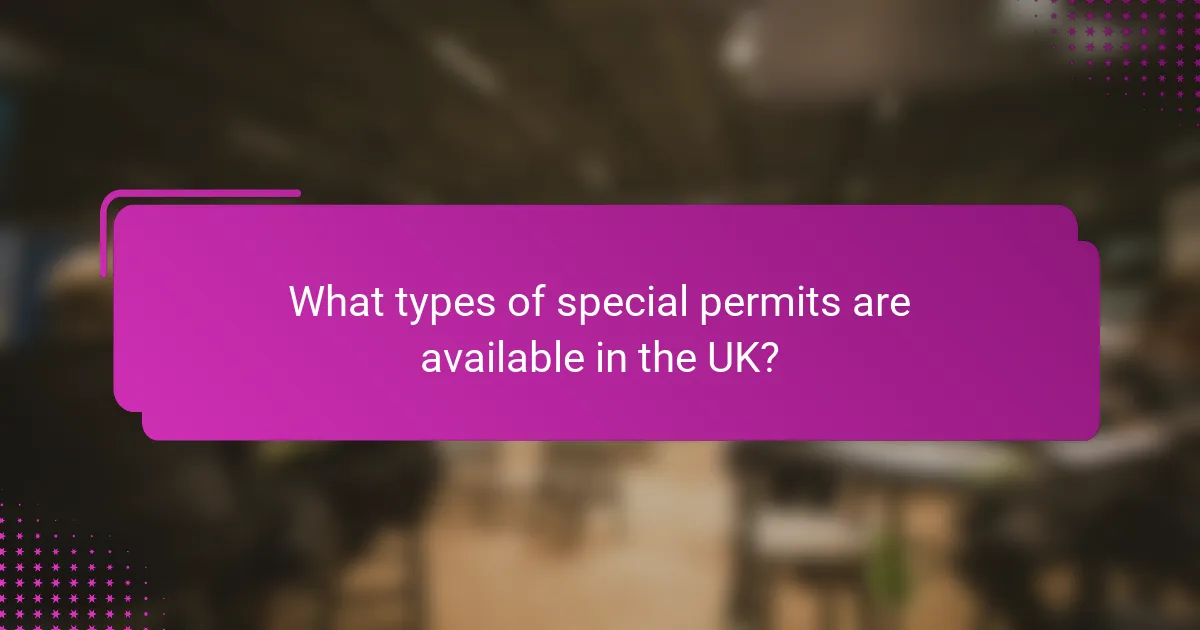 What types of special permits are available in the UK?